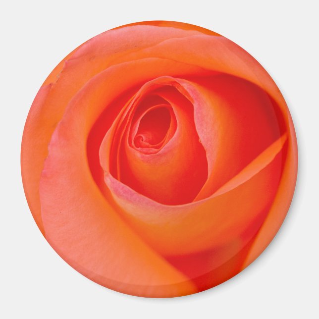 Íman Laranja Maravilhosa Rosa Broto (Frente)