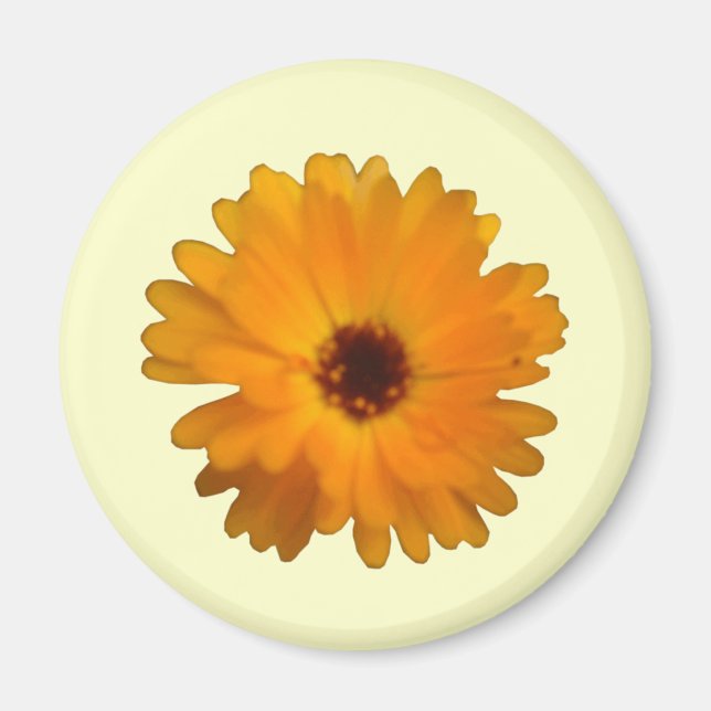 Íman Laranja Marigold Magnet (Frente)