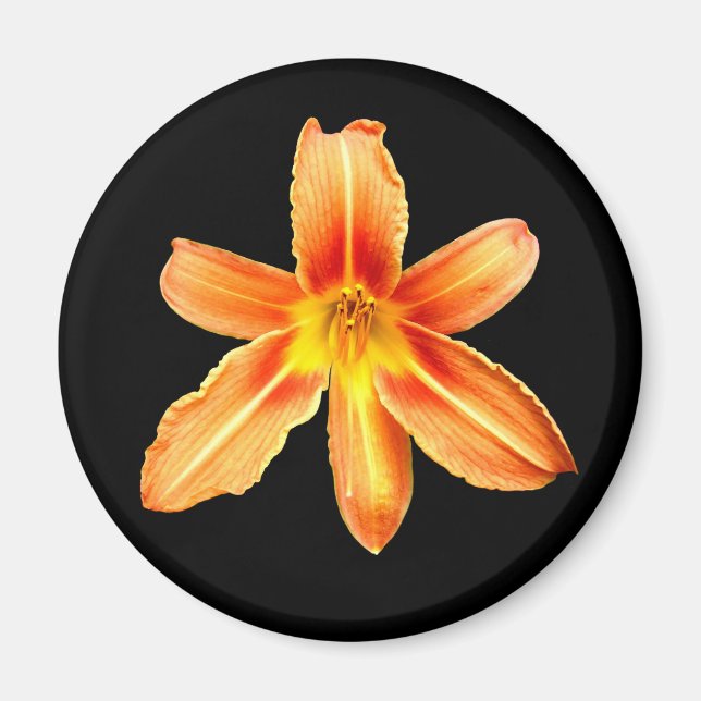 Íman Laranja Tiger Lily Magnet (Frente)