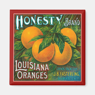 Íman Laranjas da Honestidade Louisiana
