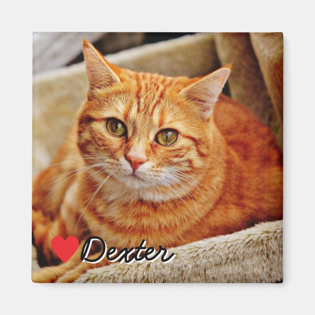 Íman Large Personalized Pet Photo (Frente)