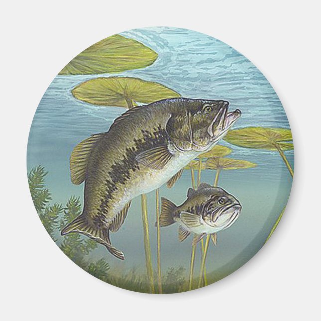 Íman Largemouth Bass (Frente)