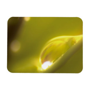 Íman Largura de Água Magneta 3