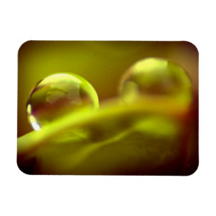 Íman Largura de Água Magneta Premium