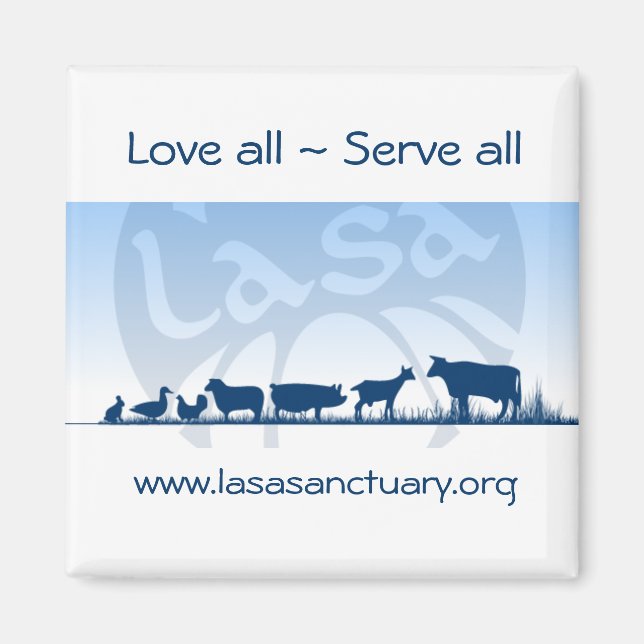 Íman Lasa Magnet (Frente)