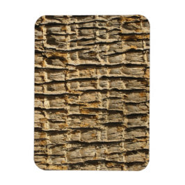 Íman Latido de Árvore Surfaces_Palm Legal Naturalmente