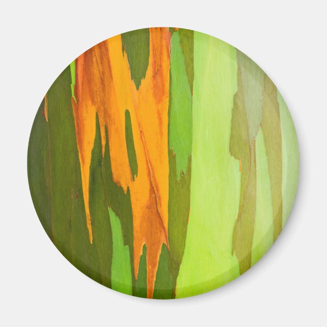 Íman Latido Rainbow Eucalyptus, Havaí (Frente)