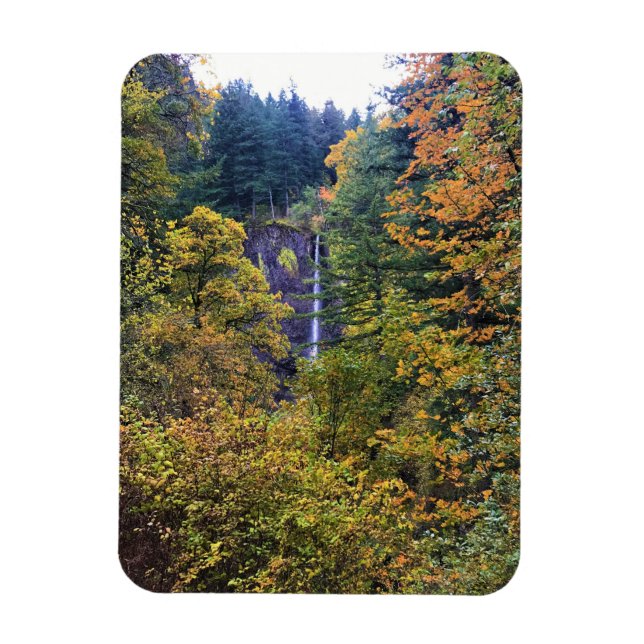 Íman Latourell Falls, Columbia River Gorge, Oregon (Vertical)