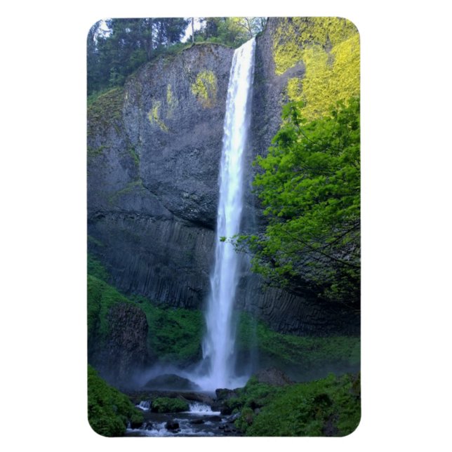 Íman Latourell Falls, Oregon (Vertical)