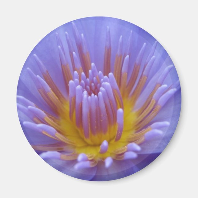 Íman Laura Frase (Frente)