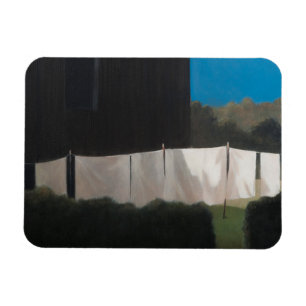 Íman Lavagem de Norma em 2012