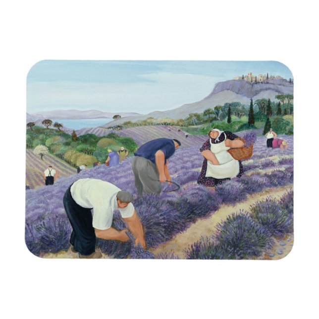 Íman Lavanda (Horizontal)