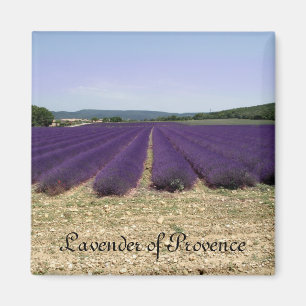 Íman Lavanda de Provence