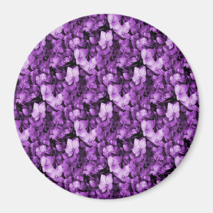 Íman Lavanda Delight... .
