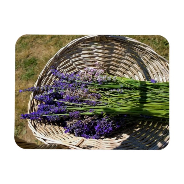 Íman Lavanda em uma cesta (Horizontal)