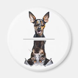 Íman Lavar Louças Manchester Terrier Brinquedo Encantad