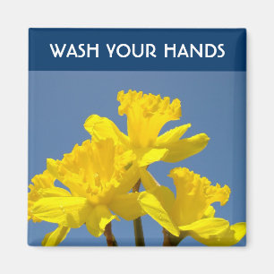 Íman LAVE AS MÃOS ímãs Conselho de Saúde Narciso