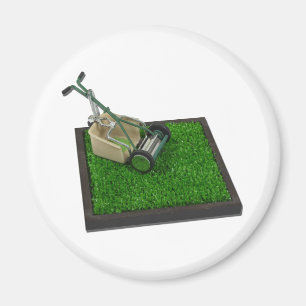 Íman LawnmowerOnTheGrass100711