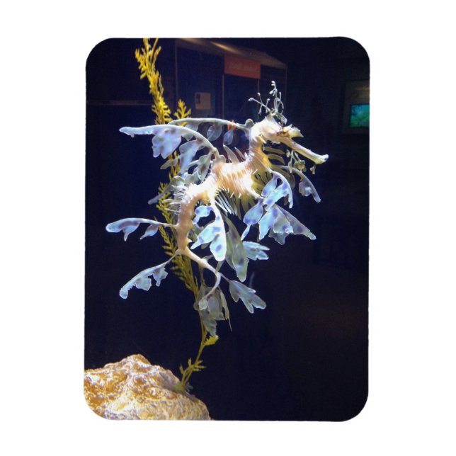 Íman Leafy Dragon Magnet (Vertical)