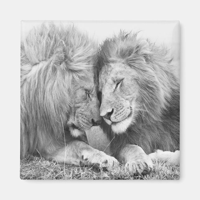 Íman Leão (Frente)