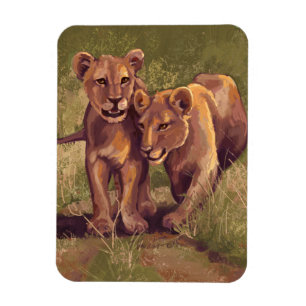 Íman Leão Cubs
