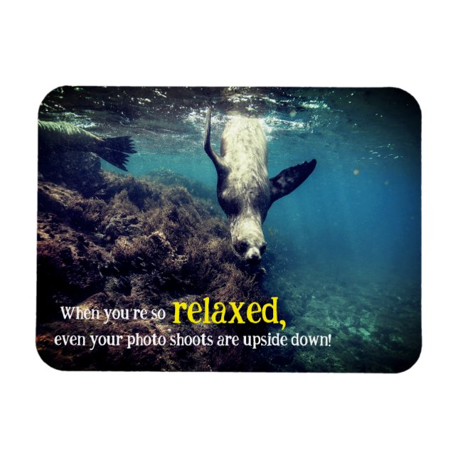 Íman Leão de mar engraçado submarino (Horizontal)