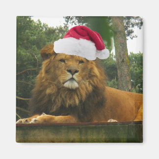 Íman Leão de Natal Vestindo Santa Hat