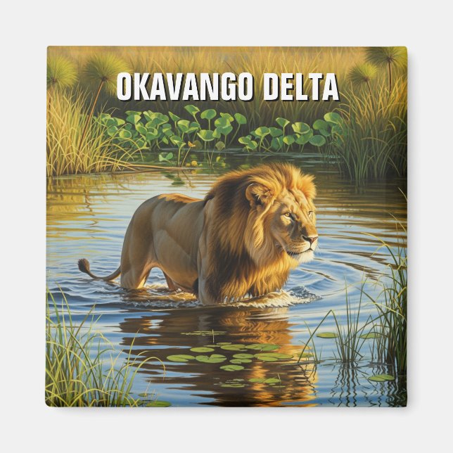 Íman Leão no Okavango Delta Botswana (Frente)