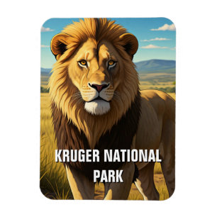 Íman Leão no Parque Nacional de Kruger na África do Sul