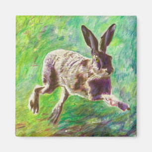 Íman Lebre alegre 2011