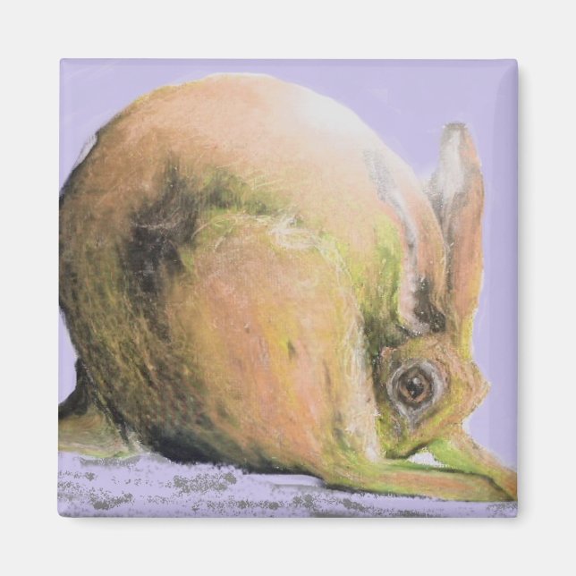 Íman lebre amarela (Frente)