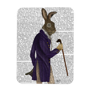 Íman Lebre em Casaco Roxo