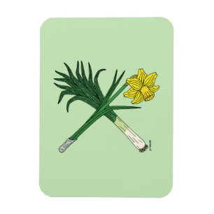 Íman Leek e Daffodil cruzados