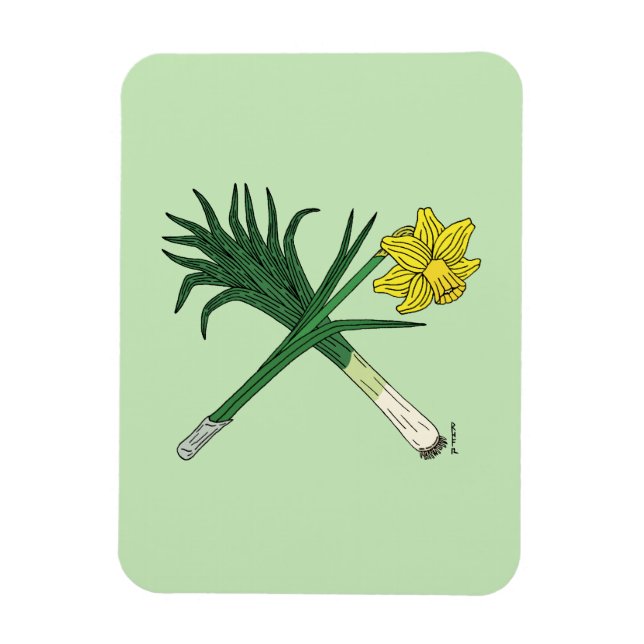 Íman Leek e Daffodil cruzados (Vertical)