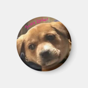 Íman Leeloo Sassy pequeno, redondo! Ímã