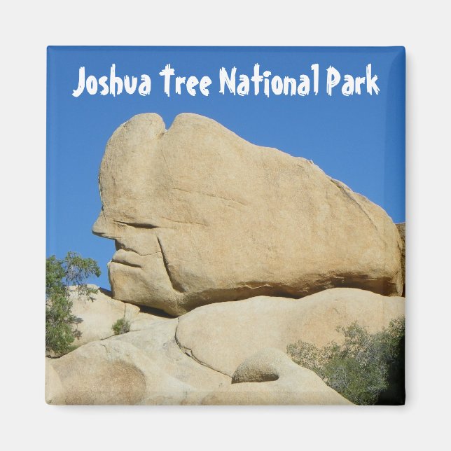 Íman Legal Joshua Tree Park Magnet! (Frente)