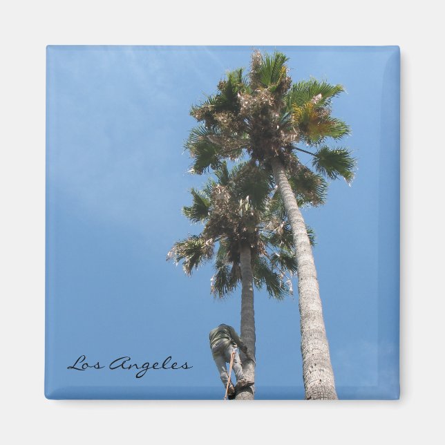 Íman Legal Magnet de Los Angeles! (Frente)