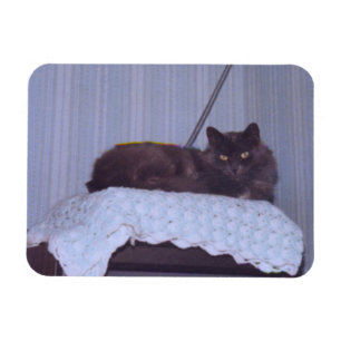 Íman Legal Nebelung