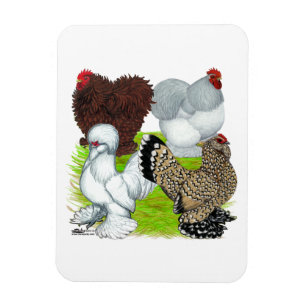 Íman Legenda de Bantams Feather