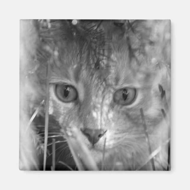 Íman Legenda Selva B&W (Frente)