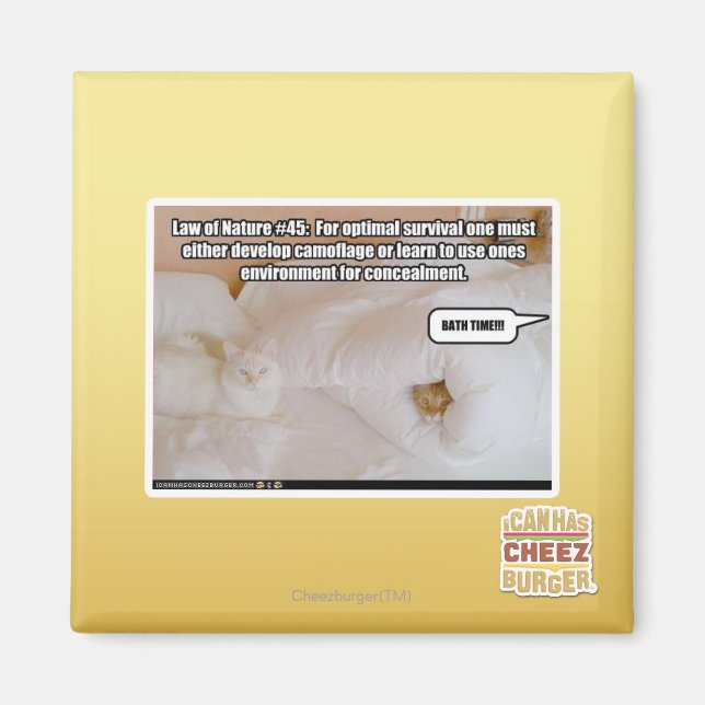 Íman Lei da Natureza #45 (Frente)