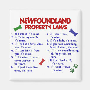 Íman Lei de propriedade da NEWFOUNDLAND 2