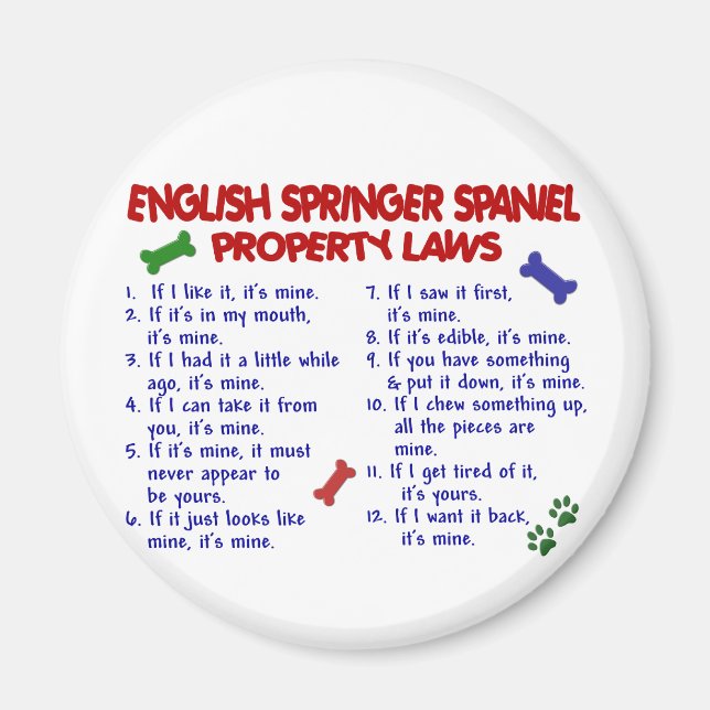 Íman Lei de Propriedade de SPRINGER SPANIEL em INGLÊS 2 (Frente)