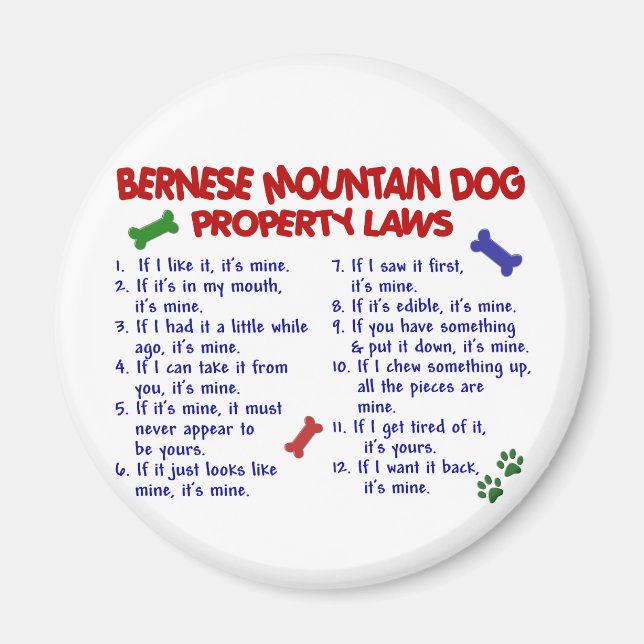 Íman Lei de Propriedade do BERNESE MOUNTAIN DOG 2 (Frente)