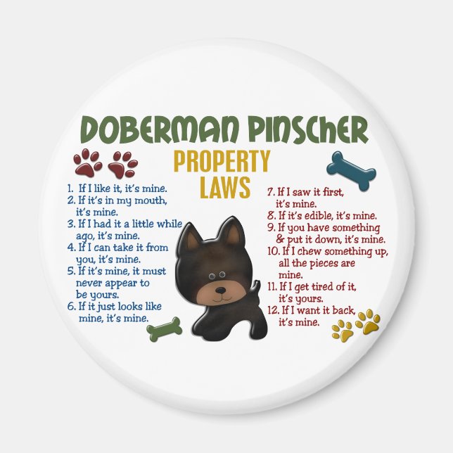 Íman Lei de Propriedade Doberman Pinscher 4 (Frente)