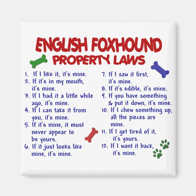 Íman Lei de propriedades de FOXHOUND em INGLÊS 2 (Frente)