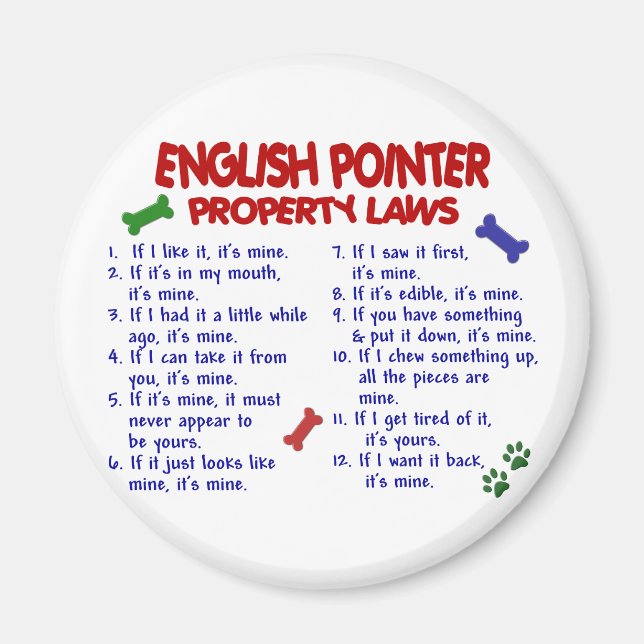 Íman Lei de propriedades do POINTER em INGLÊS 2 (Frente)