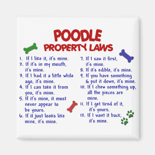 Íman Leis 2 da propriedade da CANICHE