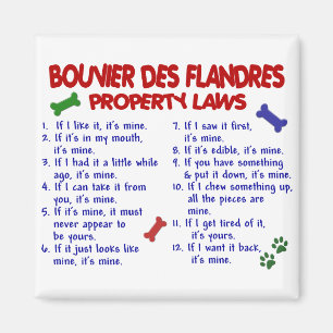 Íman Leis 2 da propriedade do DES FLANDRES de BOUVIER