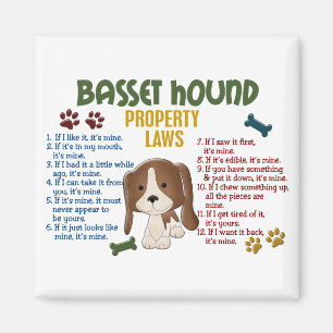 Íman Leis 4 da propriedade de Basset Hound